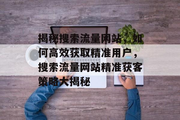 揭秘搜索流量网站，如何高效获取精准用户，搜索流量网站精准获客策略大揭秘