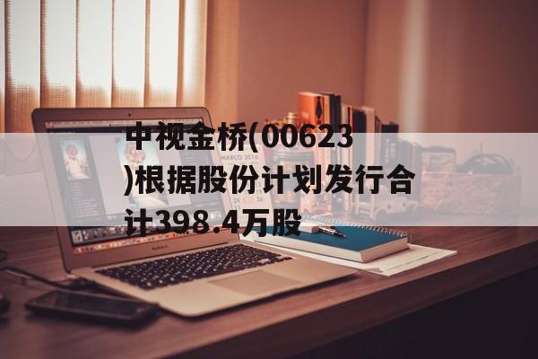 中视金桥(00623)根据股份计划发行合计398.4万股