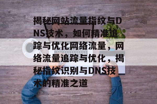 揭秘网站流量指纹与DNS技术，如何精准追踪与优化网络流量，网络流量追踪与优化，揭秘指纹识别与DNS技术的精准之道