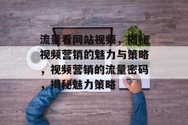 流量看网站视频，揭秘视频营销的魅力与策略，视频营销的流量密码，揭秘魅力策略