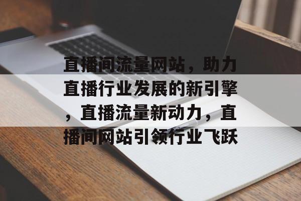 直播间流量网站，助力直播行业发展的新引擎，直播流量新动力，直播间网站引领行业飞跃