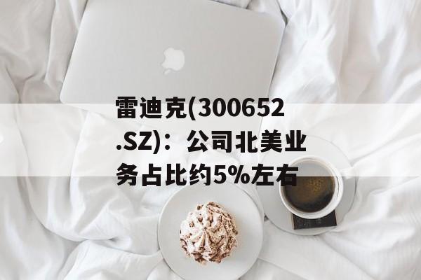 雷迪克(300652.SZ)：公司北美业务占比约5%左右