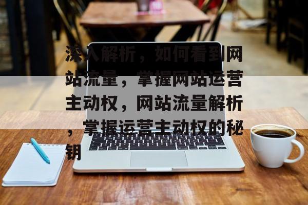 深入解析，如何看到网站流量，掌握网站运营主动权，网站流量解析，掌握运营主动权的秘钥