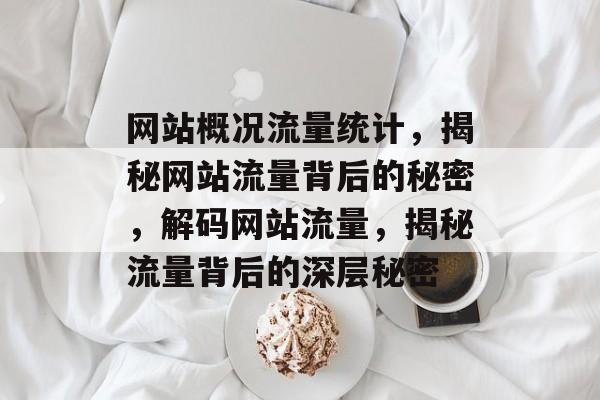 网站概况流量统计，揭秘网站流量背后的秘密，解码网站流量，揭秘流量背后的深层秘密