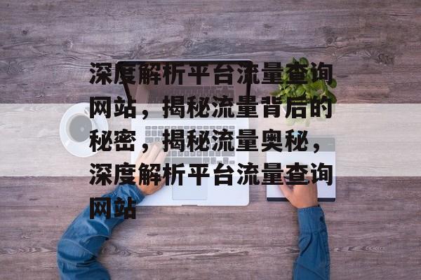 深度解析平台流量查询网站，揭秘流量背后的秘密，揭秘流量奥秘，深度解析平台流量查询网站