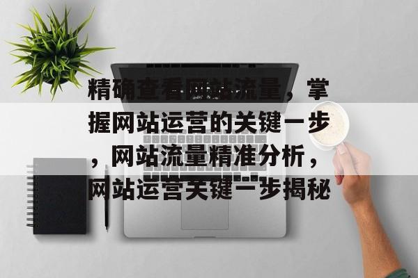 精确查看网站流量，掌握网站运营的关键一步，网站流量精准分析，网站运营关键一步揭秘