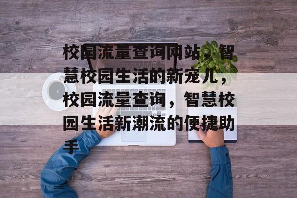 校园流量查询网站，智慧校园生活的新宠儿，校园流量查询，智慧校园生活新潮流的便捷助手