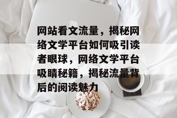 网站看文流量，揭秘网络文学平台如何吸引读者眼球，网络文学平台吸睛秘籍，揭秘流量背后的阅读魅力