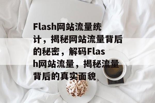 Flash网站流量统计，揭秘网站流量背后的秘密，解码Flash网站流量，揭秘流量背后的真实面貌