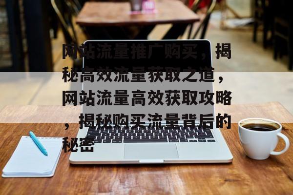 网站流量推广购买，揭秘高效流量获取之道，网站流量高效获取攻略，揭秘购买流量背后的秘密
