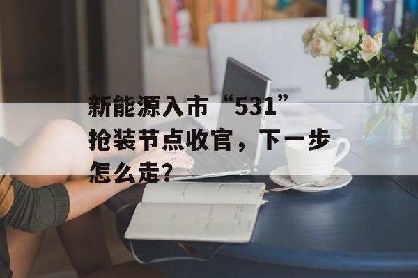 新能源入市“531”抢装节点收官，下一步怎么走？