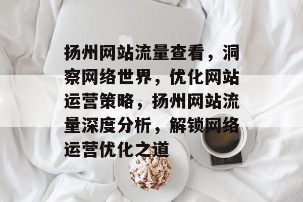 扬州网站流量查看，洞察网络世界，优化网站运营策略，扬州网站流量深度分析，解锁网络运营优化之道