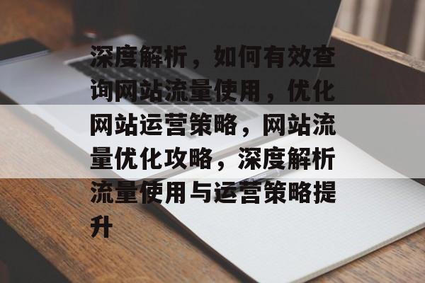 深度解析，如何有效查询网站流量使用，优化网站运营策略，网站流量优化攻略，深度解析流量使用与运营策略提升