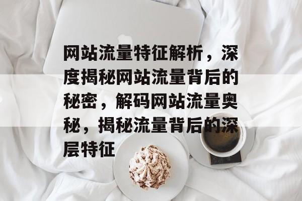 网站流量特征解析，深度揭秘网站流量背后的秘密，解码网站流量奥秘，揭秘流量背后的深层特征