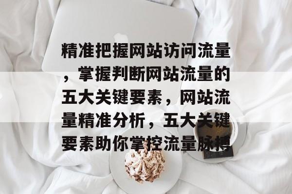 精准把握网站访问流量，掌握判断网站流量的五大关键要素，网站流量精准分析，五大关键要素助你掌控流量脉搏