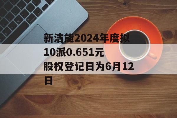 新洁能2024年度拟10派0.651元 股权登记日为6月12日
