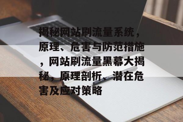 揭秘网站刷流量系统，原理、危害与防范措施，网站刷流量黑幕大揭秘，原理剖析、潜在危害及应对策略