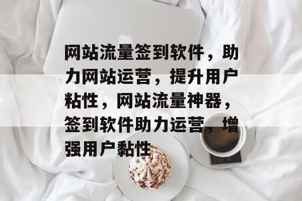 网站流量签到软件，助力网站运营，提升用户粘性，网站流量神器，签到软件助力运营，增强用户黏性