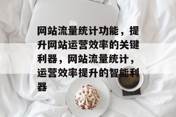 网站流量统计功能，提升网站运营效率的关键利器，网站流量统计，运营效率提升的智能利器