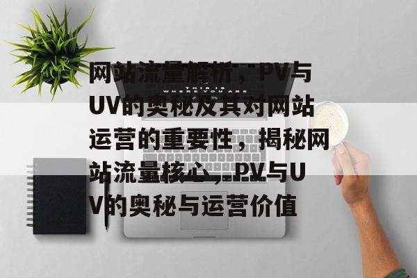 网站流量解析，PV与UV的奥秘及其对网站运营的重要性，揭秘网站流量核心，PV与UV的奥秘与运营价值