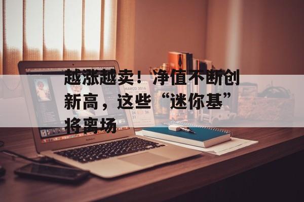 越涨越卖！净值不断创新高，这些“迷你基”将离场
