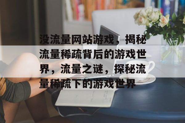 没流量网站游戏，揭秘流量稀疏背后的游戏世界，流量之谜，探秘流量稀疏下的游戏世界