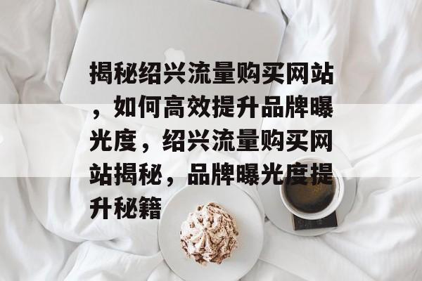 揭秘绍兴流量购买网站，如何高效提升品牌曝光度，绍兴流量购买网站揭秘，品牌曝光度提升秘籍