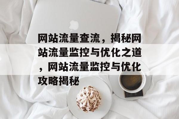网站流量查流，揭秘网站流量监控与优化之道，网站流量监控与优化攻略揭秘