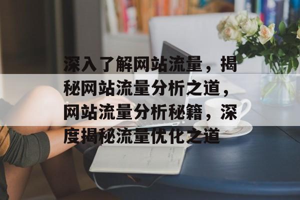 深入了解网站流量，揭秘网站流量分析之道，网站流量分析秘籍，深度揭秘流量优化之道