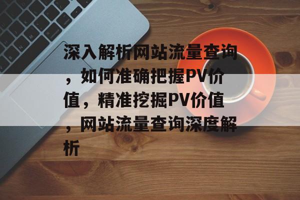 深入解析网站流量查询，如何准确把握PV价值，精准挖掘PV价值，网站流量查询深度解析