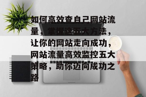 如何高效查自己网站流量，掌握这五大方法，让你的网站走向成功，网站流量高效监控五大策略，助你迈向成功之路