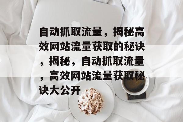 自动抓取流量，揭秘高效网站流量获取的秘诀，揭秘，自动抓取流量，高效网站流量获取秘诀大公开
