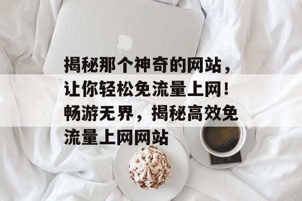 揭秘那个神奇的网站，让你轻松免流量上网！畅游无界，揭秘高效免流量上网网站