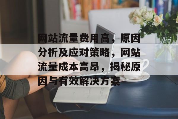 网站流量费用高，原因分析及应对策略，网站流量成本高昂，揭秘原因与有效解决方案