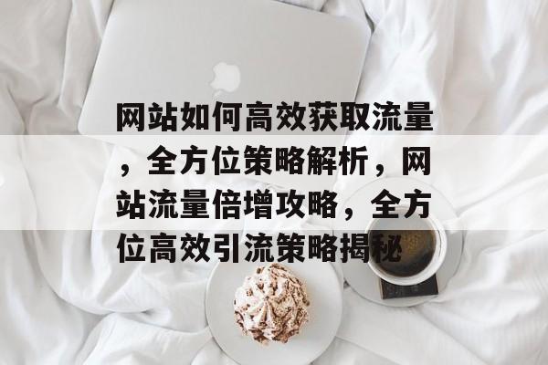 网站如何高效获取流量，全方位策略解析，网站流量倍增攻略，全方位高效引流策略揭秘