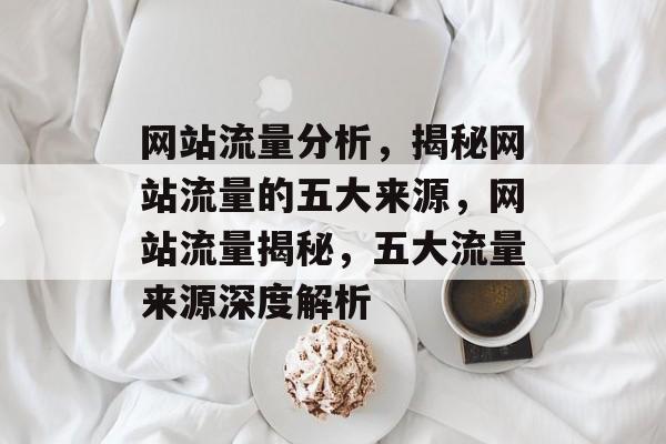 网站流量分析，揭秘网站流量的五大来源，网站流量揭秘，五大流量来源深度解析