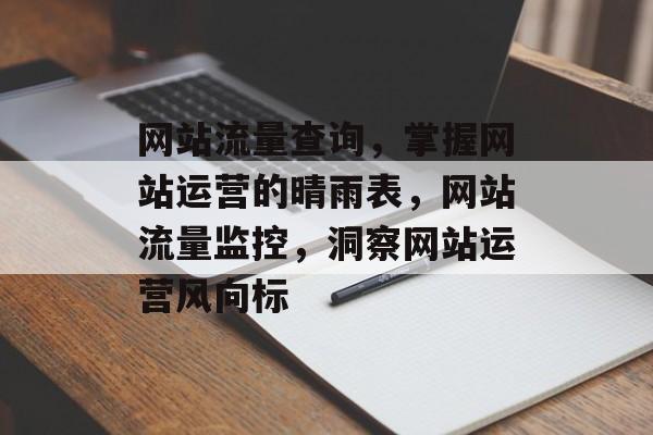 网站流量查询，掌握网站运营的晴雨表，网站流量监控，洞察网站运营风向标