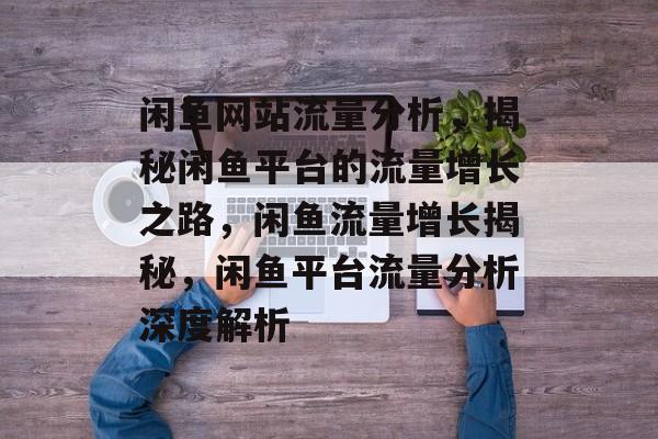 闲鱼网站流量分析，揭秘闲鱼平台的流量增长之路，闲鱼流量增长揭秘，闲鱼平台流量分析深度解析
