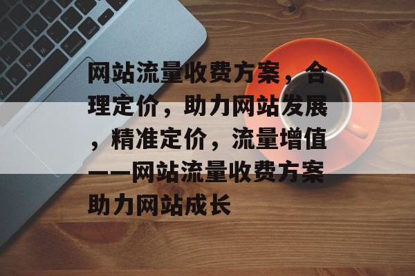网站流量收费方案，合理定价，助力网站发展，精准定价，流量增值——网站流量收费方案助力网站成长
