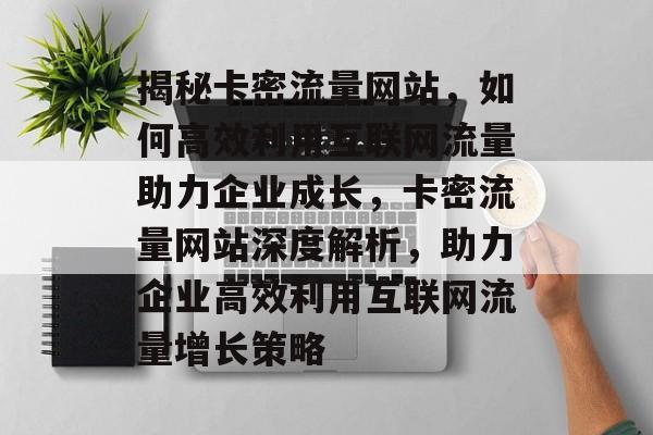 揭秘卡密流量网站，如何高效利用互联网流量助力企业成长，卡密流量网站深度解析，助力企业高效利用互联网流量增长策略
