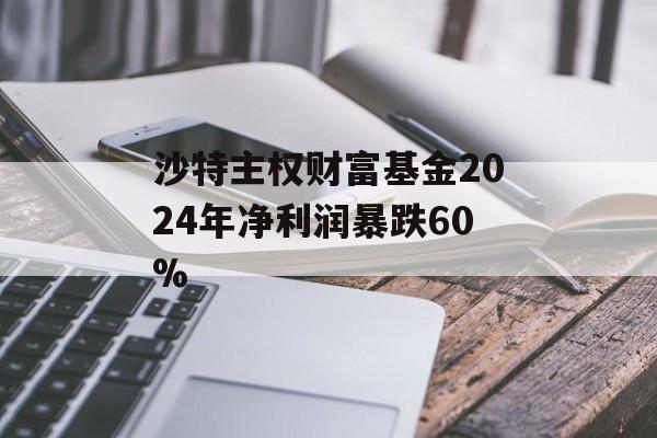 沙特主权财富基金2024年净利润暴跌60%