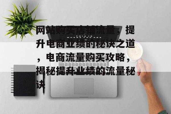 网站购买店铺流量，提升电商业绩的秘诀之道，电商流量购买攻略，揭秘提升业绩的流量秘诀
