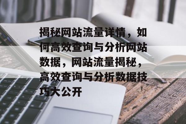 揭秘网站流量详情，如何高效查询与分析网站数据，网站流量揭秘，高效查询与分析数据技巧大公开