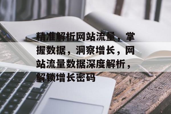 精准解析网站流量，掌握数据，洞察增长，网站流量数据深度解析，解锁增长密码