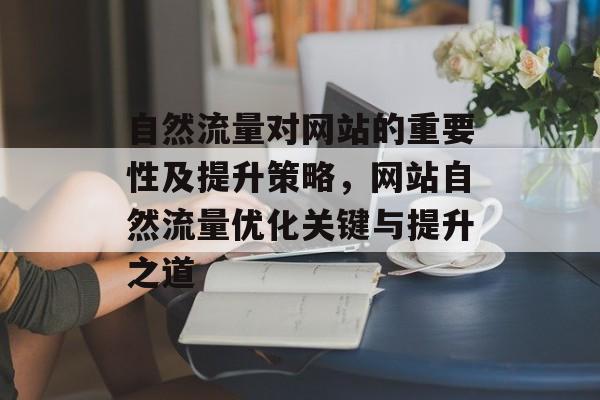 自然流量对网站的重要性及提升策略，网站自然流量优化关键与提升之道