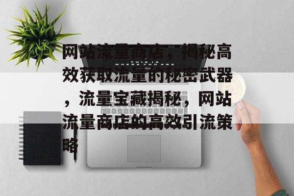 网站流量商店，揭秘高效获取流量的秘密武器，流量宝藏揭秘，网站流量商店的高效引流策略
