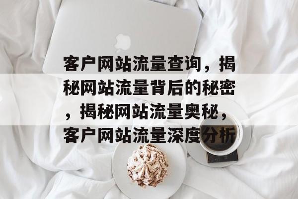 客户网站流量查询，揭秘网站流量背后的秘密，揭秘网站流量奥秘，客户网站流量深度分析