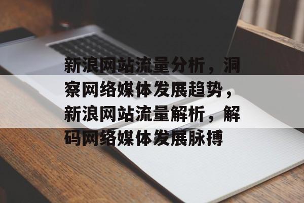 新浪网站流量分析，洞察网络媒体发展趋势，新浪网站流量解析，解码网络媒体发展脉搏