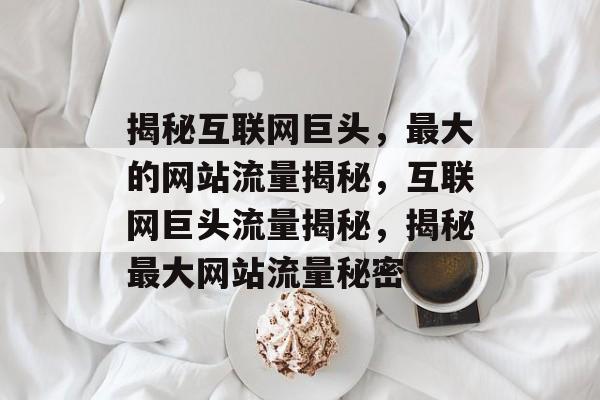 揭秘互联网巨头，最大的网站流量揭秘，互联网巨头流量揭秘，揭秘最大网站流量秘密