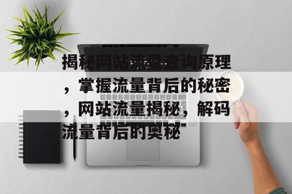 揭秘网站流量查询原理，掌握流量背后的秘密，网站流量揭秘，解码流量背后的奥秘
